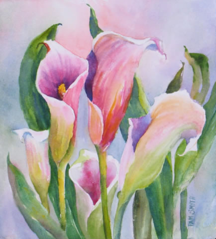 Watercolor Painting Calla Lilies by Pam Smyth