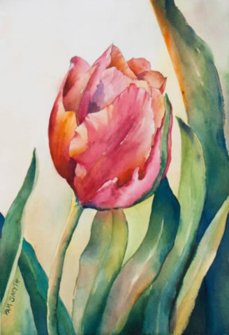 Watercolor Painting Chicago Tulip I by Pam Smyth