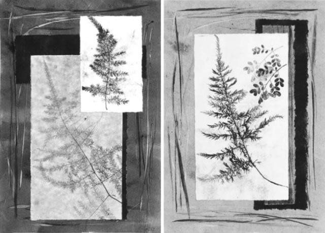 Printmaking Fern Imprints 1 & 2 by Pam  Smyth