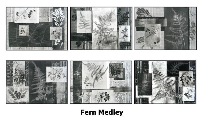 Original Prints Fern Medley by Pam Smyth