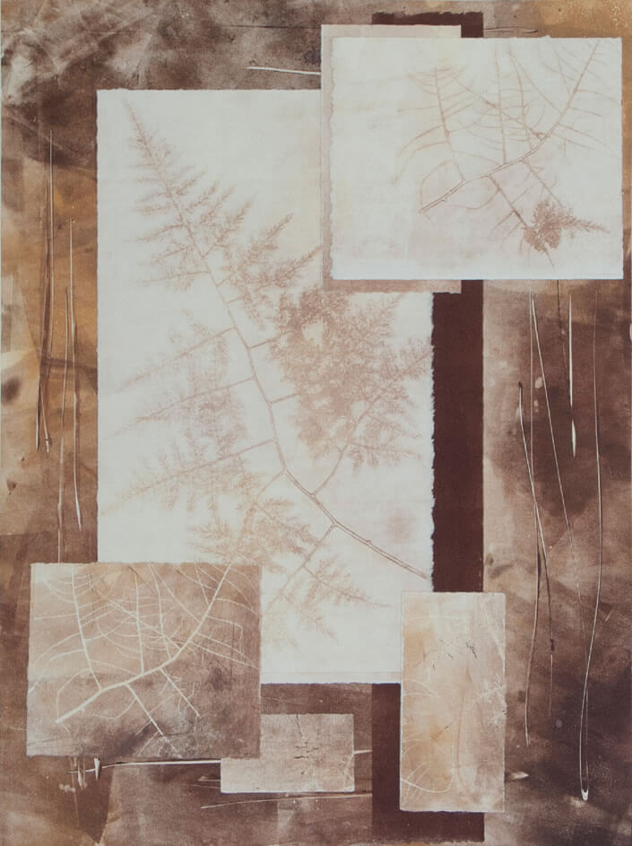 Origianl Print Forest Imprints by Pam Smyth
