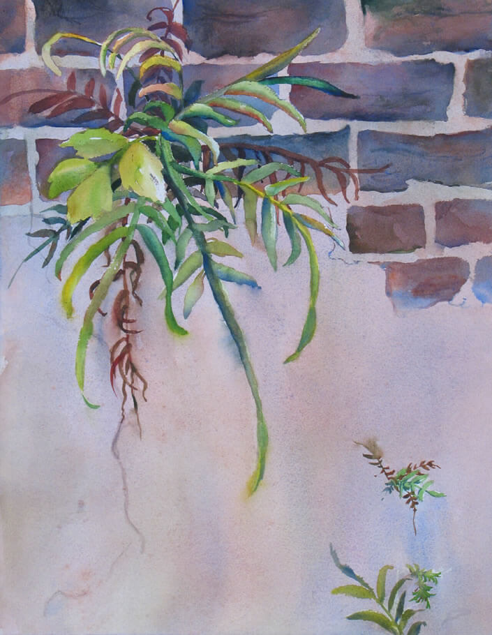 Watercolor Painting Alley Wall by Pam Smyth