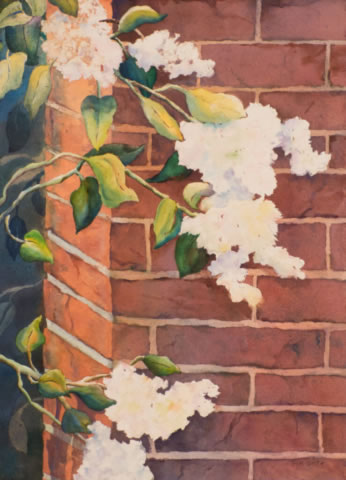 Watercolor Chicago Lilacs by Pam Smyth