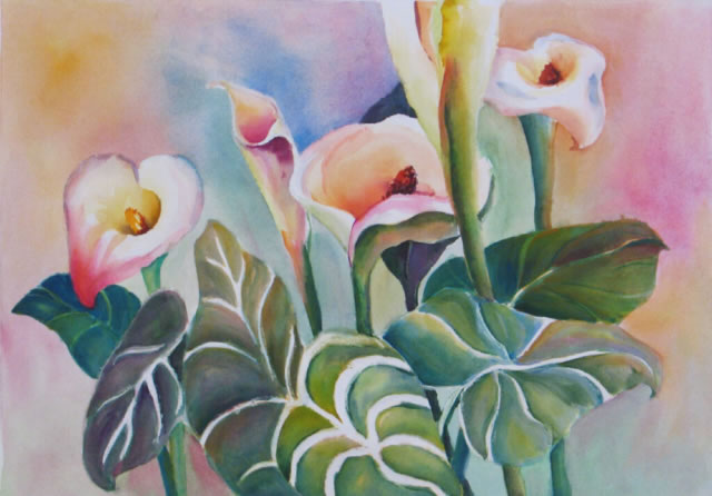 Watercolor Consider The Lilies