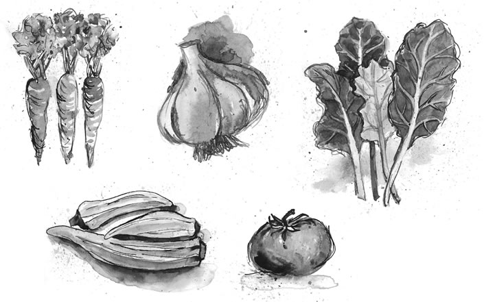 Ink Drawings Vegetable Medley by Pam Smyth